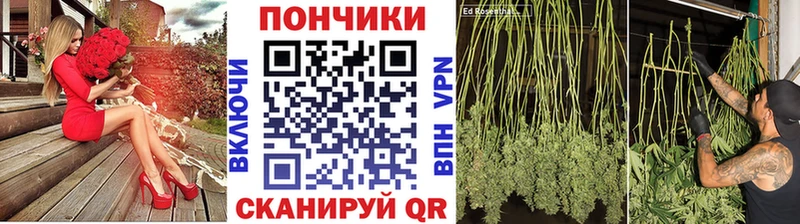 Каннабис SATIVA & INDICA  блэк спрут вход  Вольск 